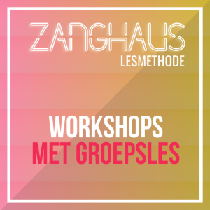 Workshops met groepsles