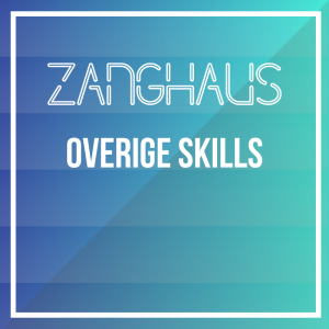 Overige skills
